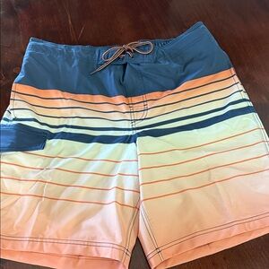 George Men's Multicolor Striped Swim Shorts,36,EUC